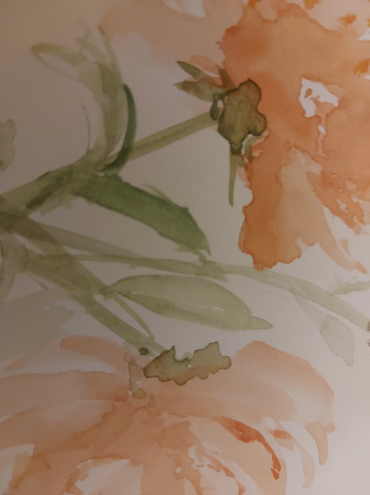 My Ode to Romance Countdown to Valentine’s Day