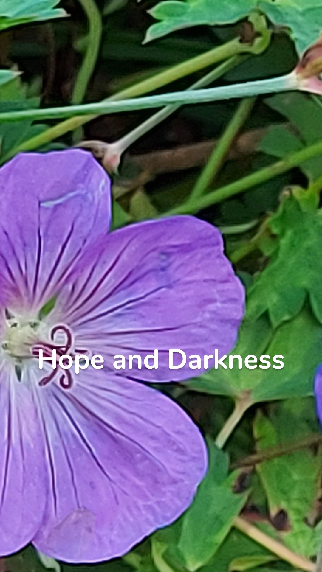 Hope and Darkness