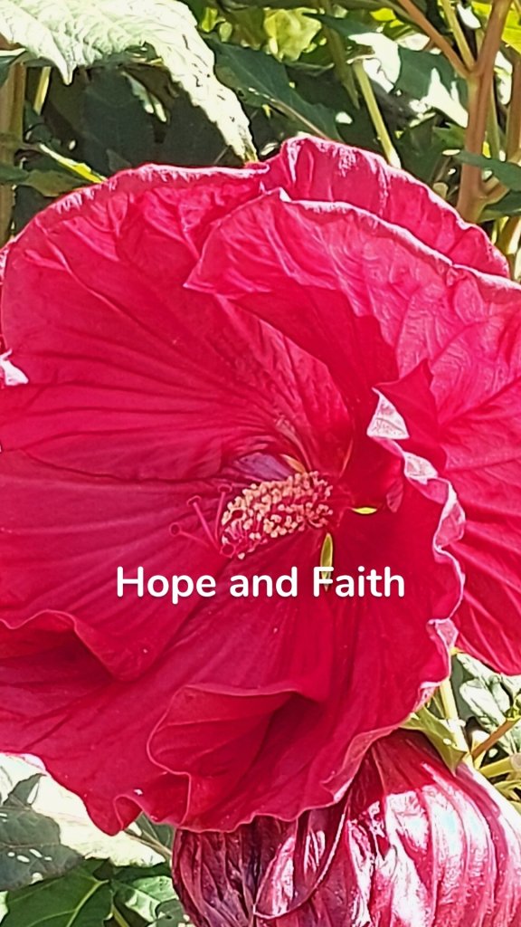 Hope and Faith