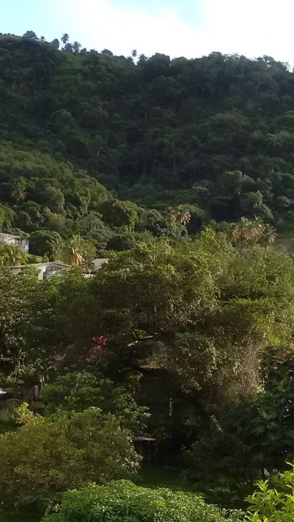 It will come. Hope is not now, but it is for the future.