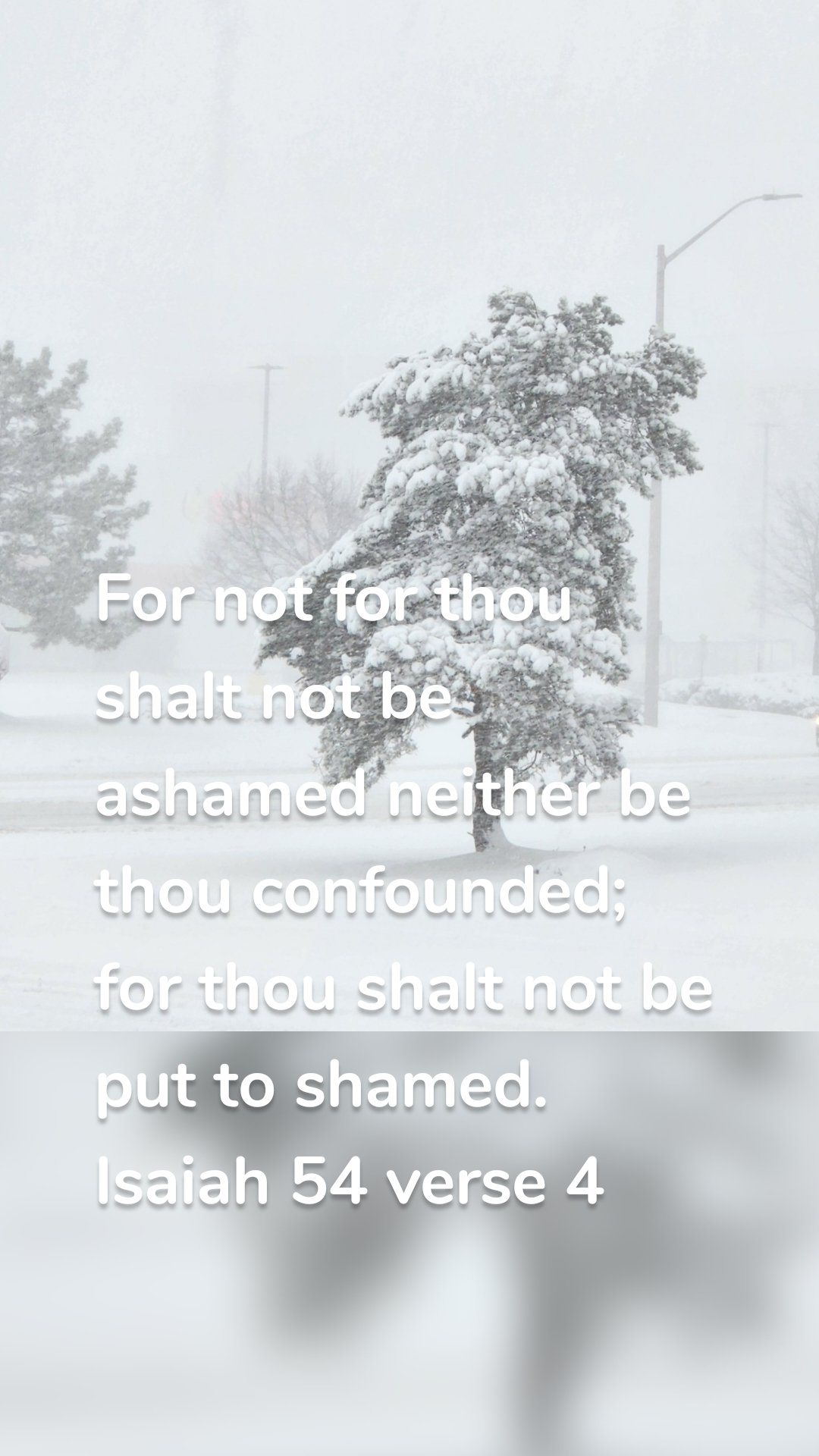 For not for thou shalt not be ashamed neither be thou confounded; for thou shalt not be put to shamed. Isaiah 54 verse 4